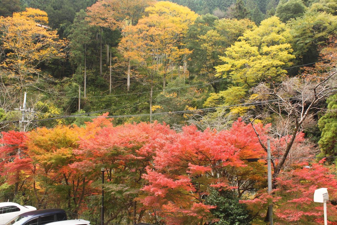 فيلا Yadori Onsen Iyashinoyu Hashimoto  المظهر الخارجي الصورة